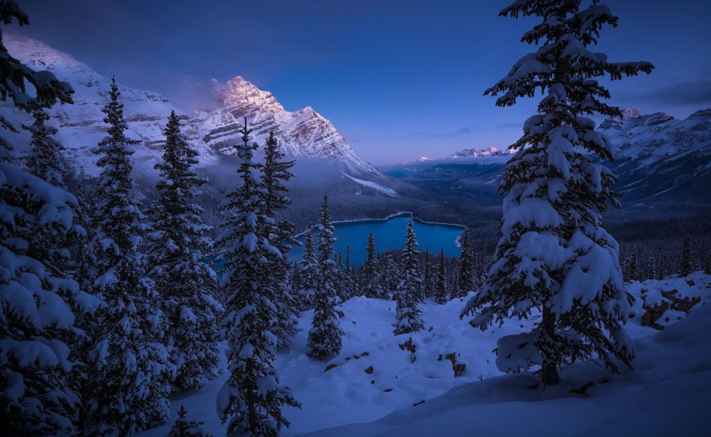 Озеро Пейто, Лед, Зима, Национальный Парк Банф, Канадские Скалистые Горы, HD, 2K, 4K