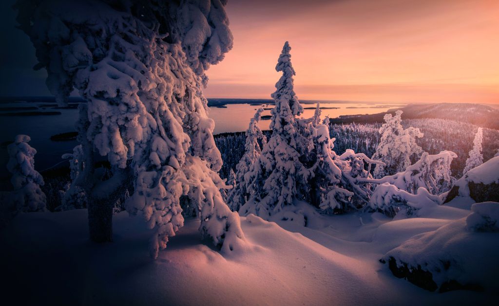 Заснеженный, Закат, Зима, Национальный Парк Коли, Финляндия, HD, 2K, 4K