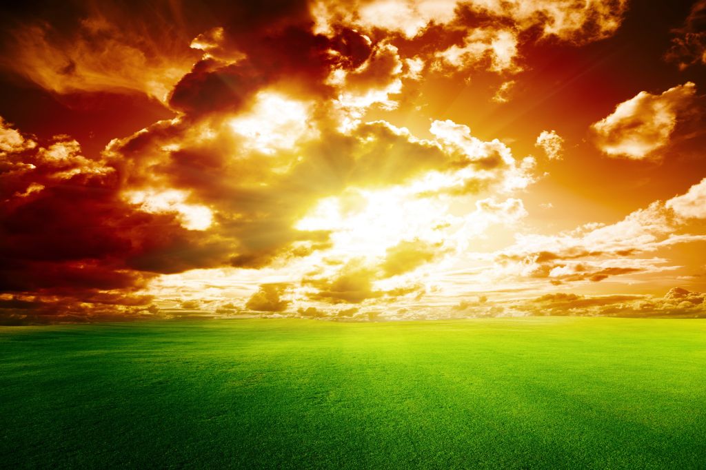 Закат, Красное Небо, Зеленая Трава, Идеальный Закат, HD, 2K, 4K