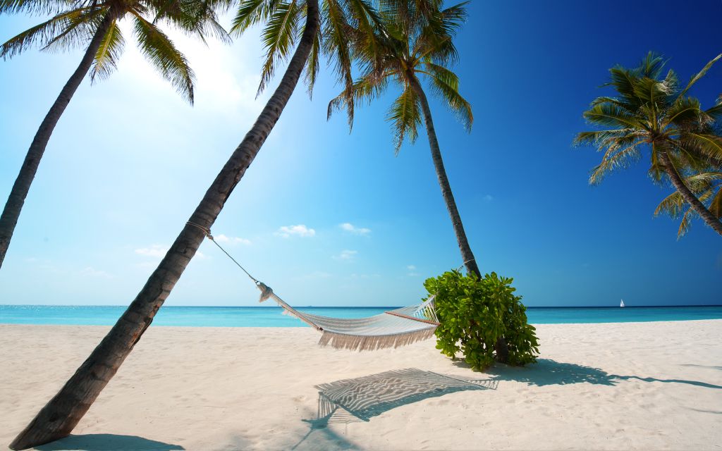 Тропический Пляж, Пляжные Курорты, Мальдивы, Пальмы, HD, 2K