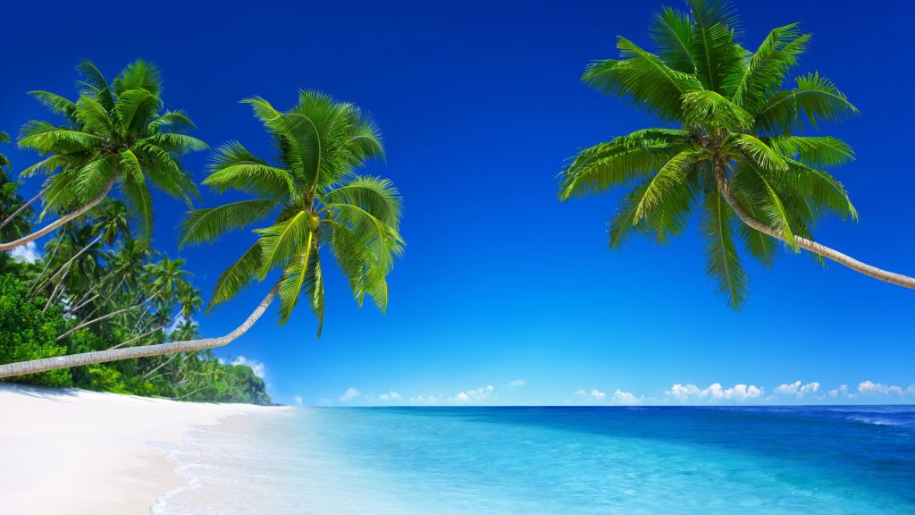 Тропический Пляж, Рай, Пальмы, Море, Синий, HD, 2K, 4K, 5K