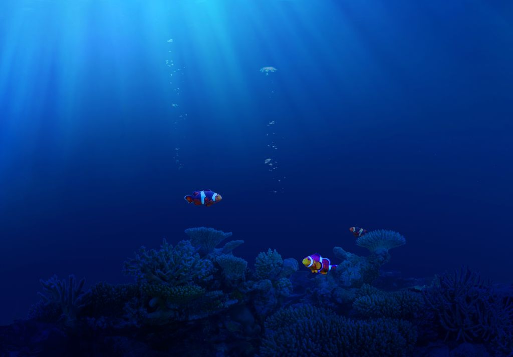 Подводный, Рыбы, Коралловый Риф, Под Морем, Синий, Честь 20, Запас, HD, 2K