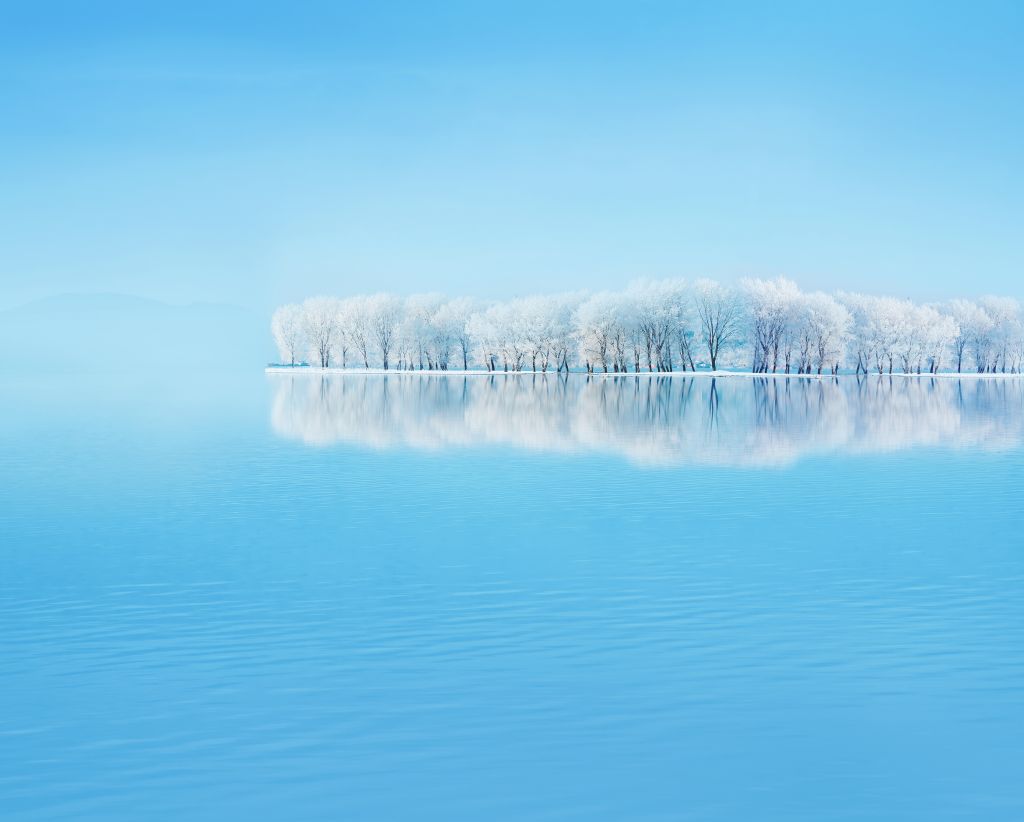 Зима, Пейзаж, Деревья, Озеро, Отражения, Huawei P30, Сток, HD, 2K